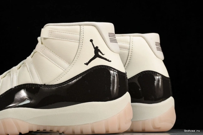 AR0715-101 11   Retro Jordan Neapolitan 0912